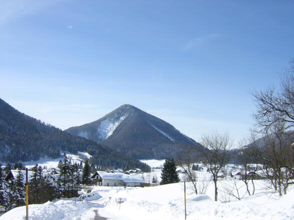 Winterimpression