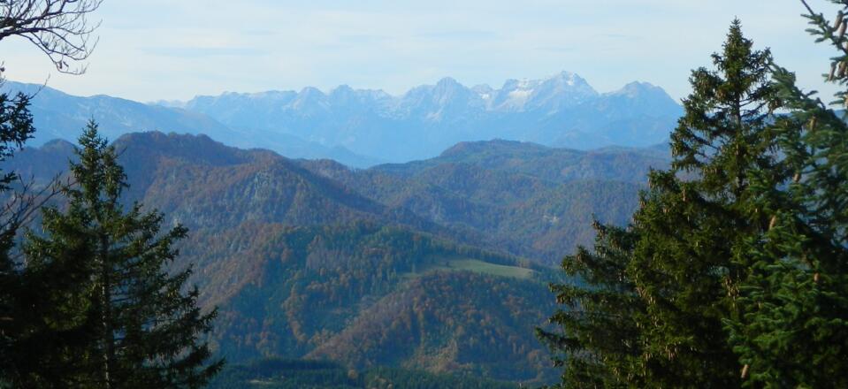 Teleblick zum Toten Gebirge