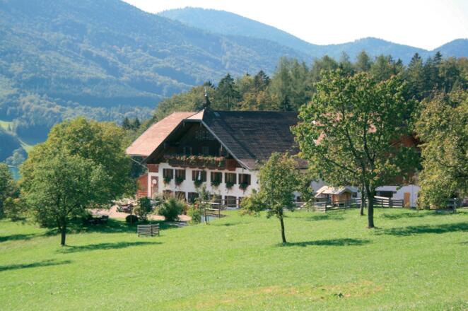 Das Schöffbaumgut inmitten von Wiesen