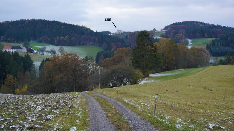 Das Ziel ist bereits kurz nach Beginn in Sichtweite
