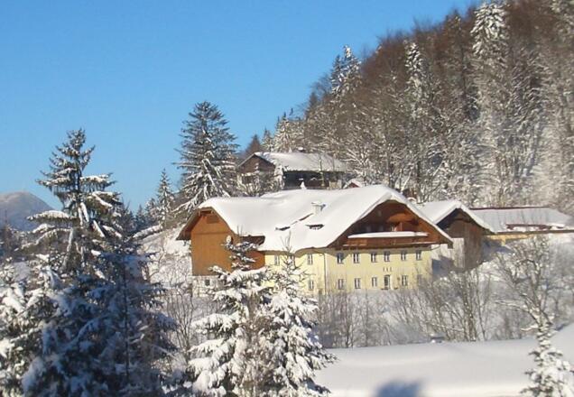 Skifahren im Skigebiet Gaissau-Hintersee