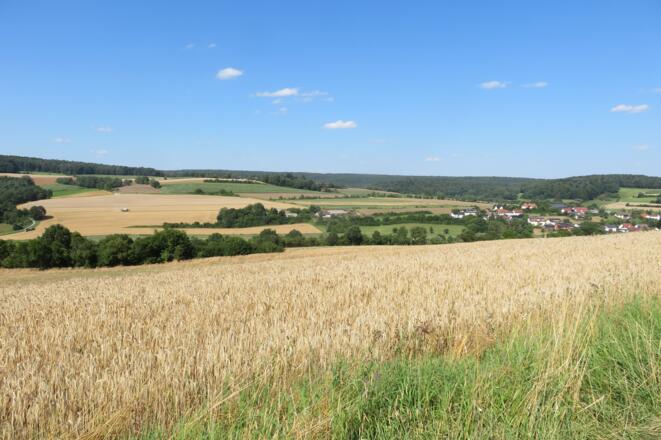 Höhenweg bei Theinheim