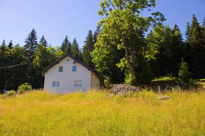 Hauswiese
