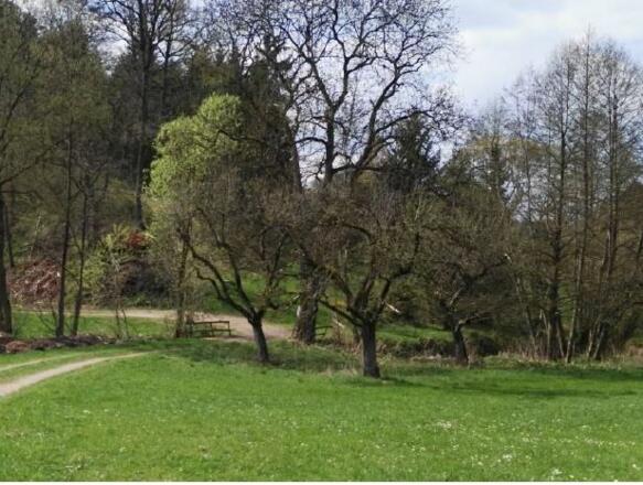 Neumarkt_Mündung Kreilenbach