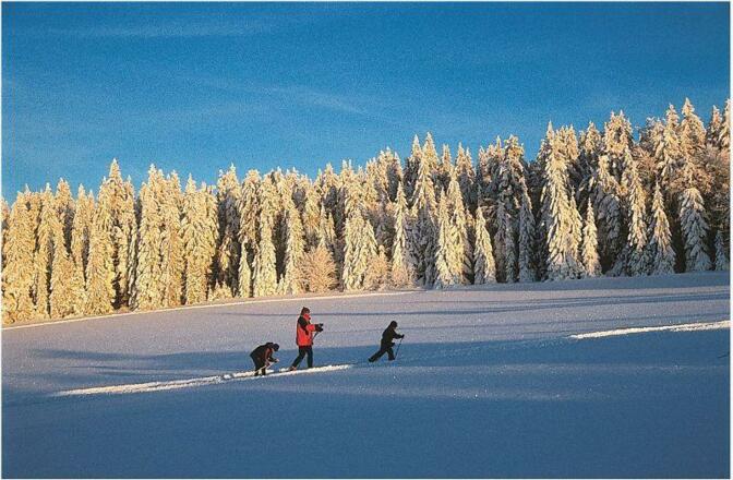 Winterlandschaft