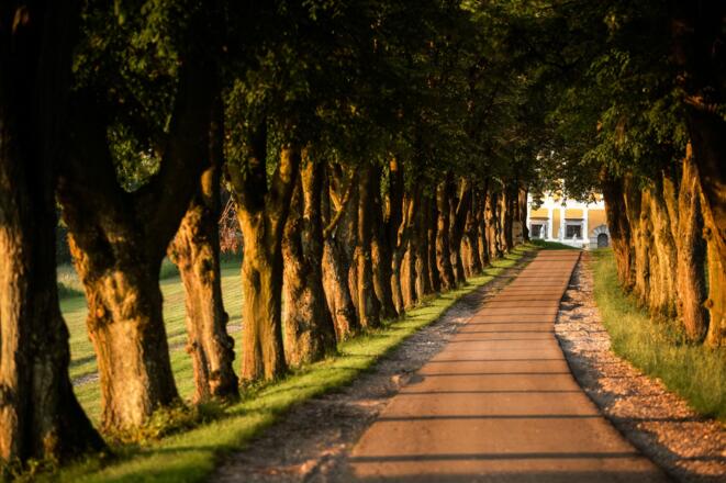 Zufahrt zum Golfclub