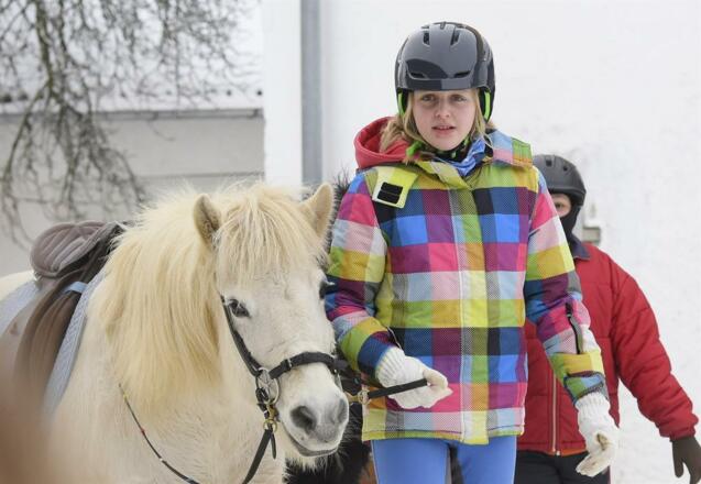 2014 Jahresende in Vordernebelberg (298)