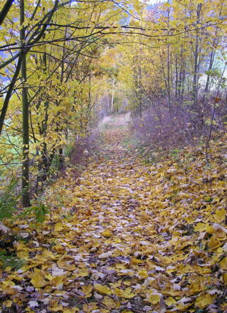 Steinbloss-Mauer-Weg