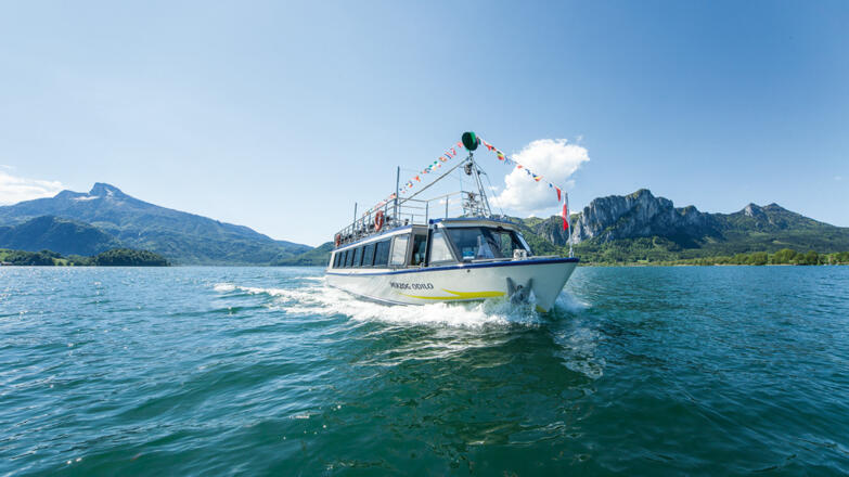 Schifffahrt Bootsverleih Hemetsberger