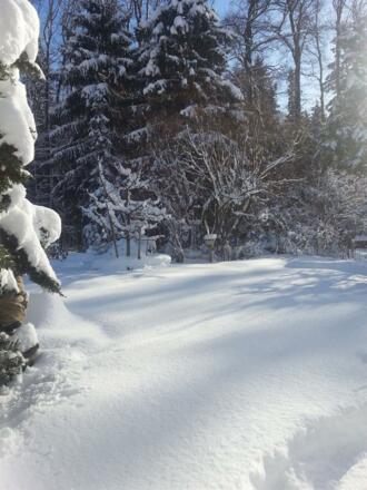 der Garten im Winter