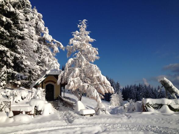 Foedinger Alm, Weyregg am Attersee