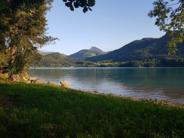 Sommer_13