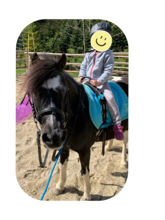 Ponyreiten