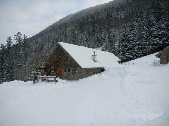Grögernalm im Winter
