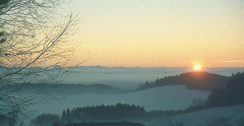 COUNT IT BEWEGUNGSPARK Beschilderung