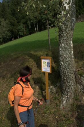 Steinbloss-Mauer-Weg