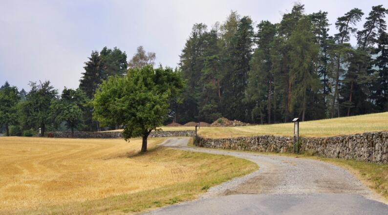 Trockensteinmauer mit Lehrpfad