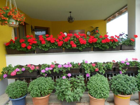 Blumenschmuck