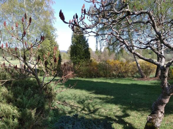 Naturschutzgebiet Stadlau von Terrasse im Frühling
