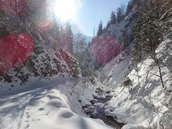 Weg zur eigenen Hochsalm Alm