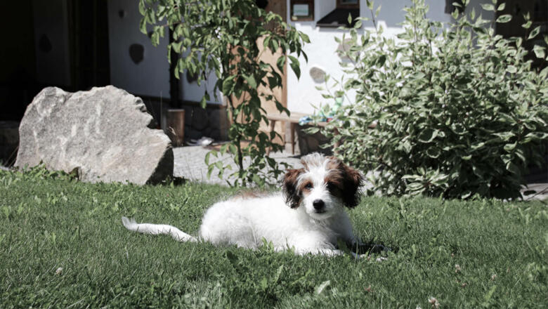INNs HOLZ Chaletdorf | INNs HOLZ Kapelle im Sommer
