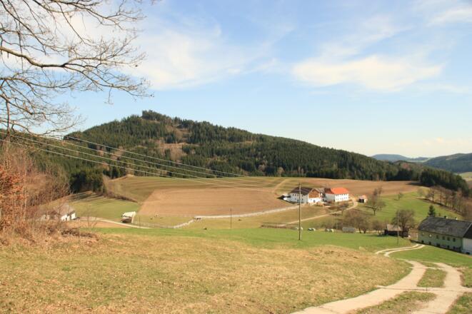 Steinbloss-Mauer-Weg