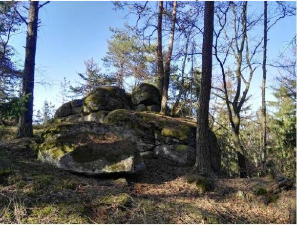 Neumarkt_Druidenplatz