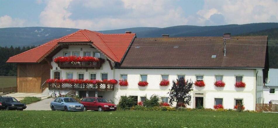 Bauernhof im Sommer