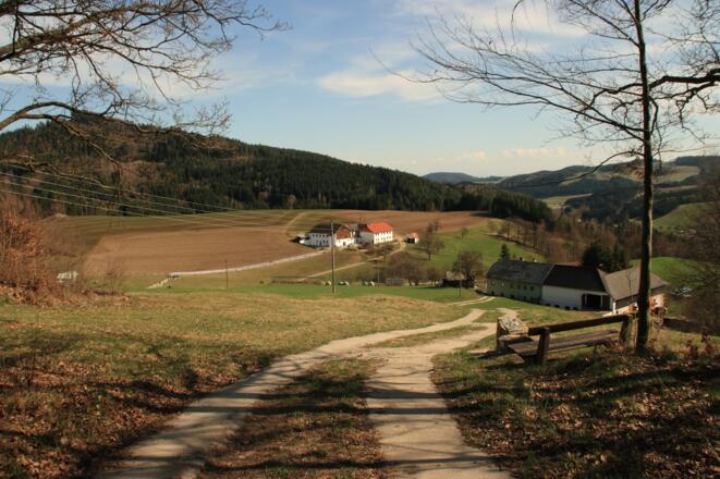 Steinbloss-Mauer-Weg