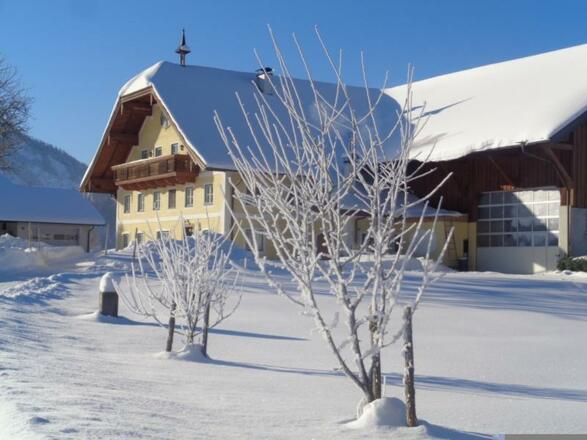 Skifahren für Jung & Alt