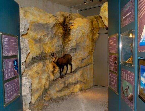 Faszination Fels - Ausstellung im Panoramaturm