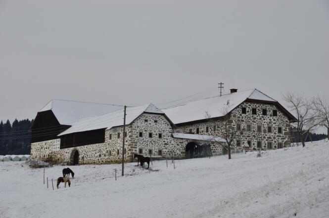 Steinbloss-Mauer-Weg