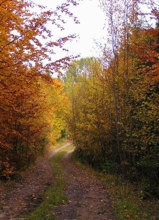 Steinbloss-Mauer-Weg