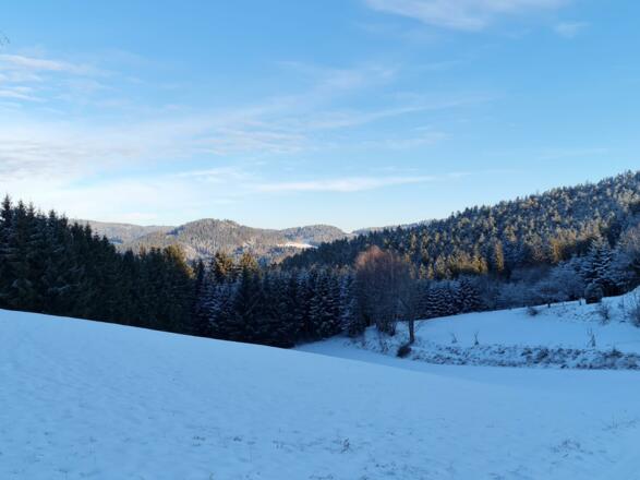 Winter in St. Leonhard