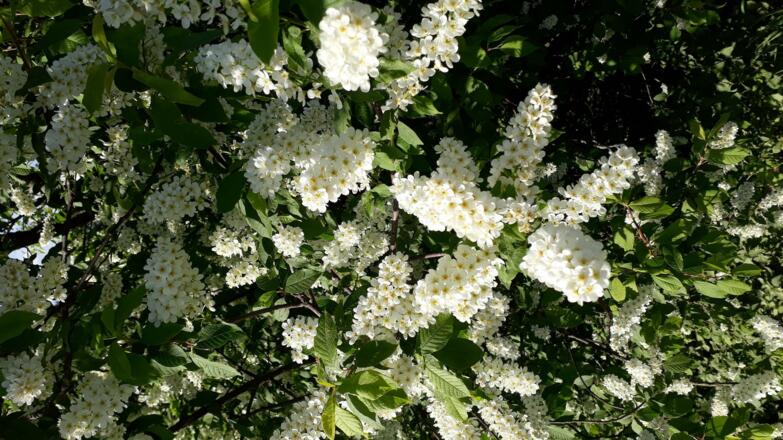 Spass für groß und klein.
