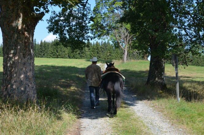 Wanderreiten auf der KernAlm