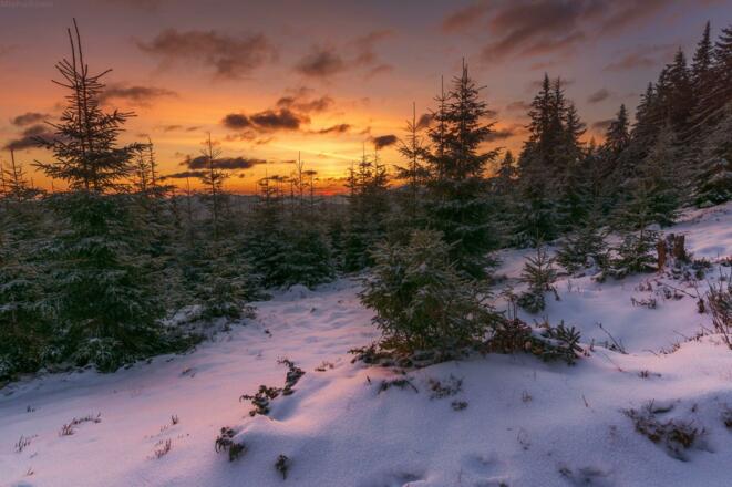 Sonnenuntergang im Winter
