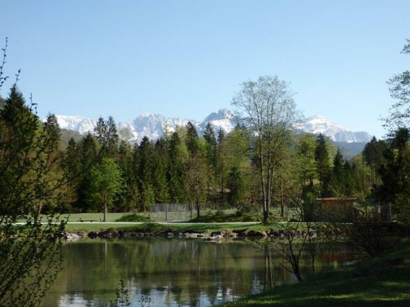 Wildpark mit Blick aufs Gebirge