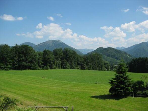 Gartenanlage - Vorderbauer