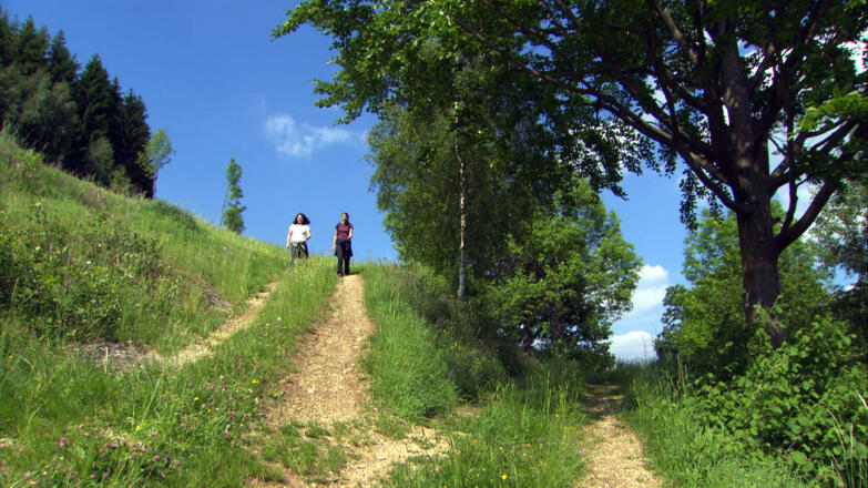 Wandern am Opferschalenweg