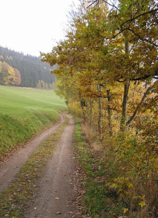 Steinbloss-Mauer-Weg
