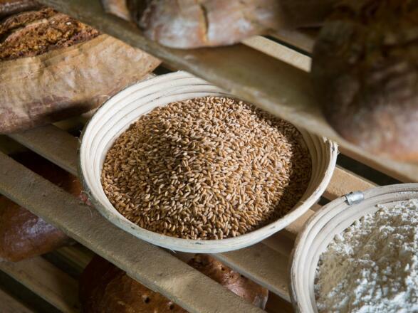 Bruckmühle Familie Hummer