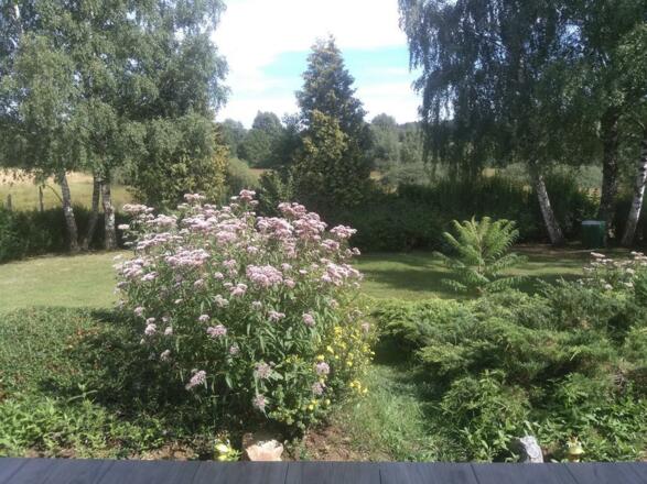 Garten Haus Stadlau