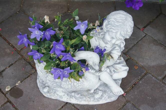 Blumen Sommer2