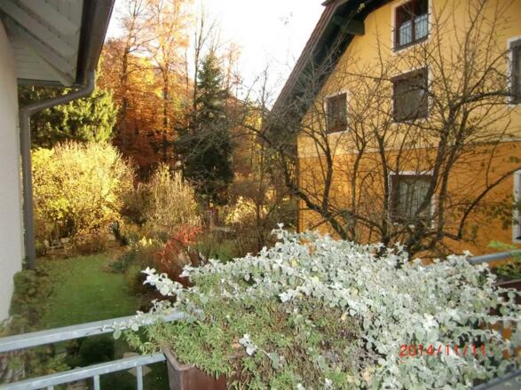 der Garten im Spätherbst