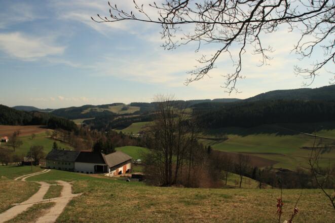 Steinbloss-Mauer-Weg