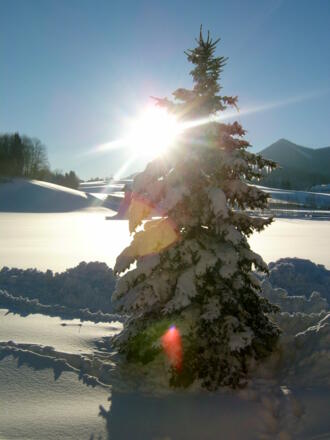 Winterstimmung pur
