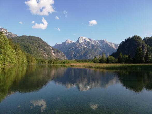 Almsee