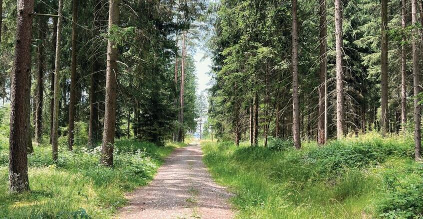 Blue-Zone-Runde Panorama