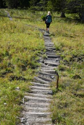 Der schön angelegte Bohlenweg verbindet die Kaseralm mit dem Tal der Kaltwasserlaine.